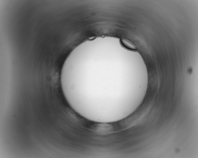 X0000102390087200808151930