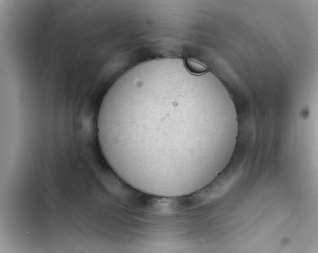 X0000102390088200808151930