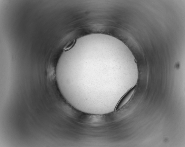 X0000102390089200808151930