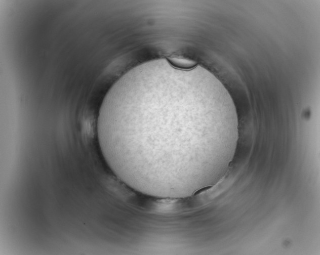 X0000102390090200808151930