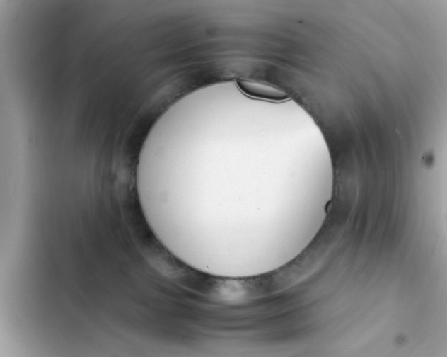 X0000102390091200808151930