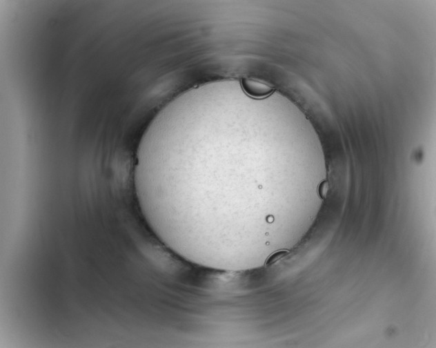 X0000102390092200808151930