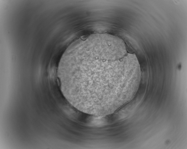 X0000102390093200808151931