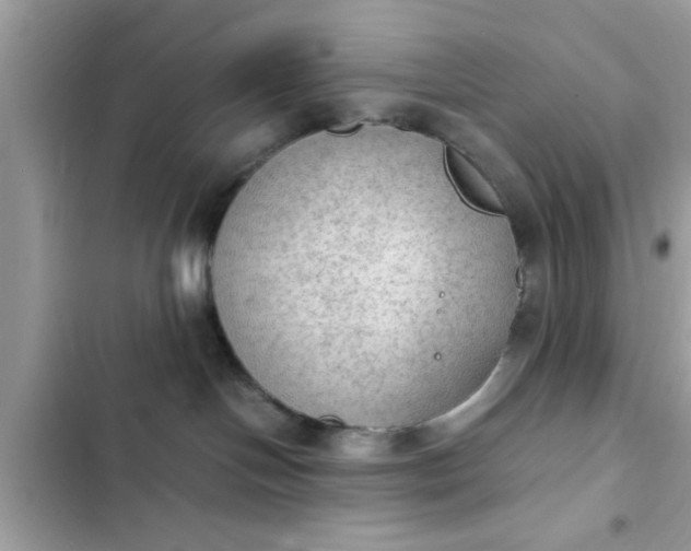 X0000102390094200808151931