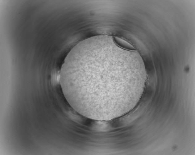 X0000102390095200808151931