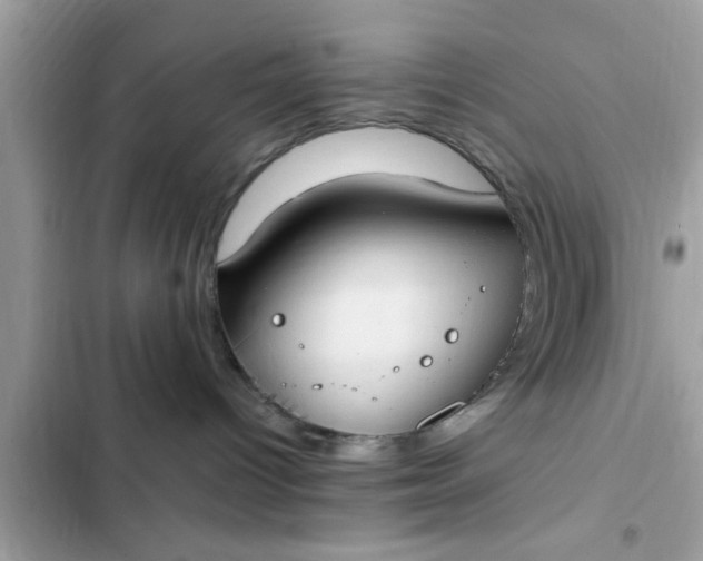 X0000102390096200808151931