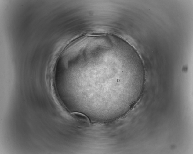 X0000102390097200808151930