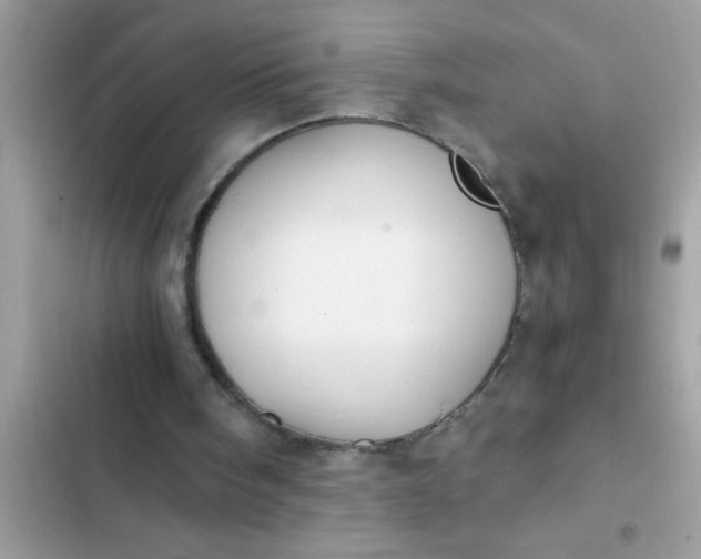 X0000102390098200808151930