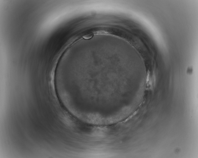 X0000102390099200808151930