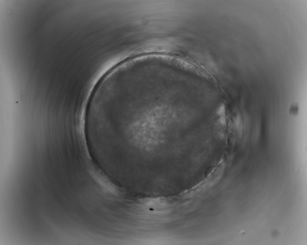 X0000102390100200808151930