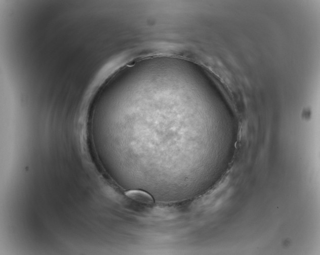 X0000102390101200808151930