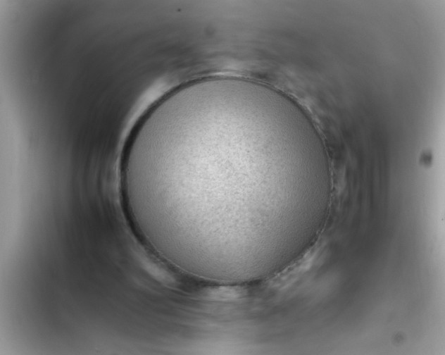 X0000102390102200808151930