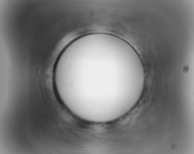 X0000102390103200808151930