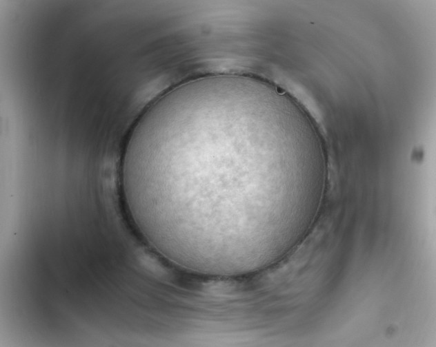 X0000102390105200808151930