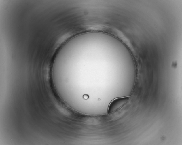 X0000102390106200808151930