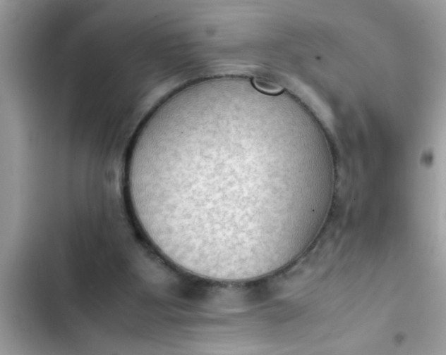 X0000102390107200808151930