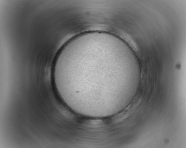 X0000102390108200808151930