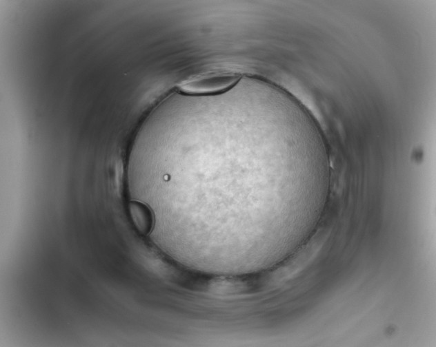 X0000102390109200808151930