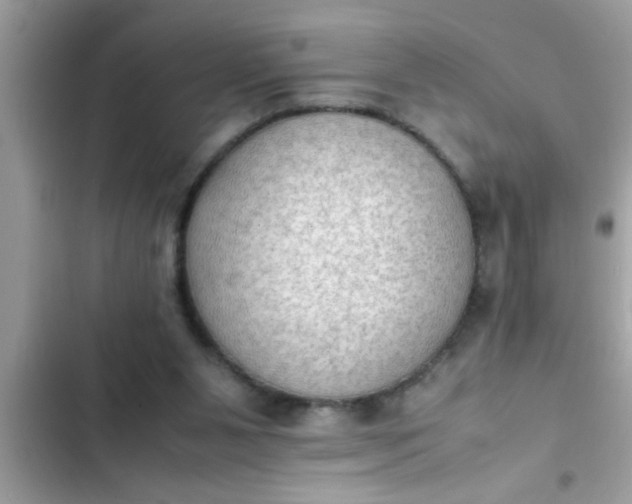 X0000102390111200808151930