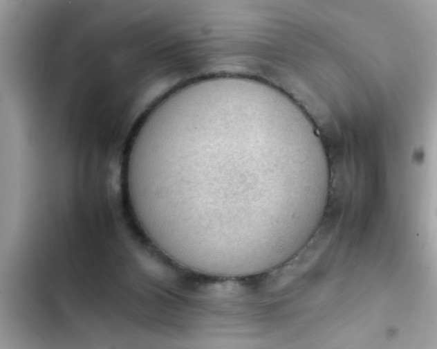 X0000102390112200808151930