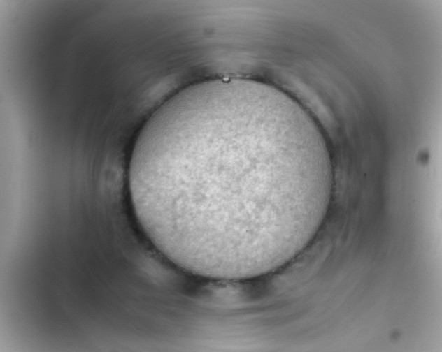 X0000102390113200808151930