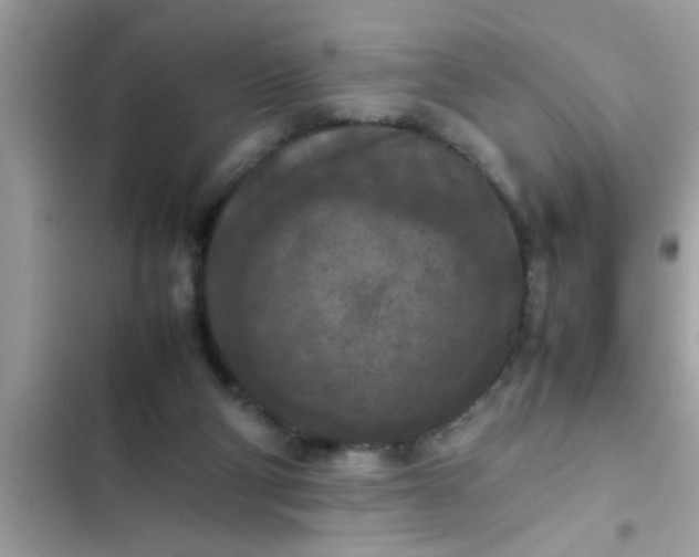 X0000102390114200808151930