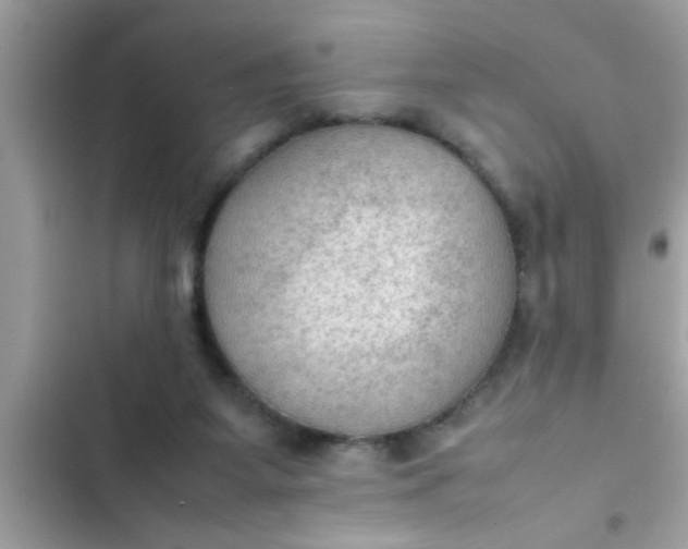 X0000102390115200808151930