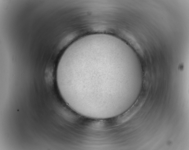 X0000102390116200808151930