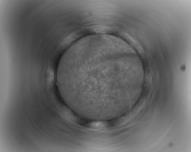 X0000102390117200808151930