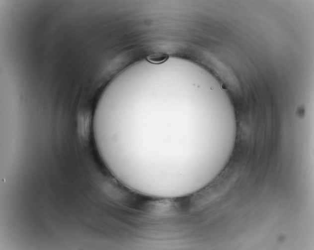 X0000102390118200808151930