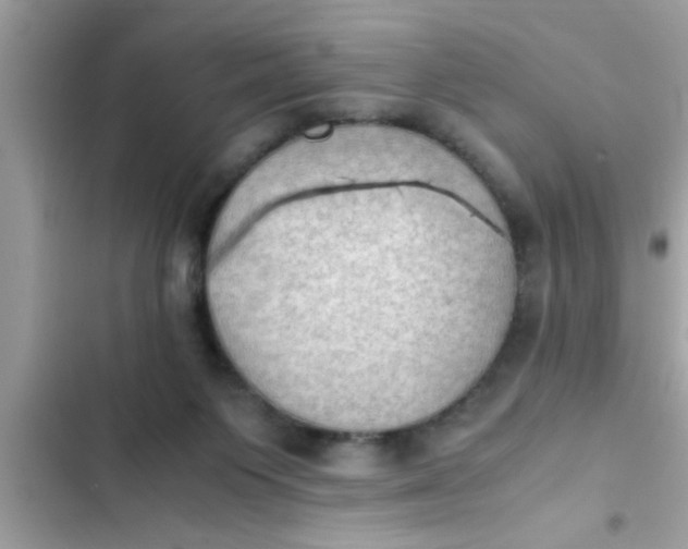 X0000102390119200808151929