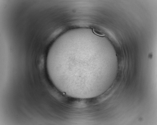 X0000102390120200808151929