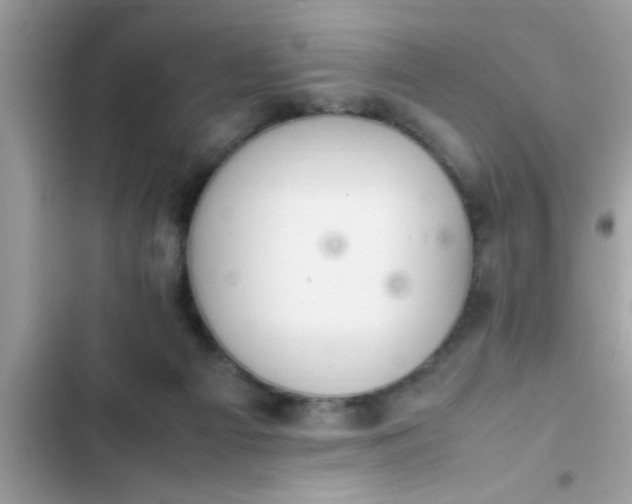 X0000102390121200808151929