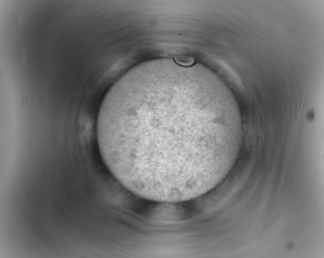 X0000102390123200808151929