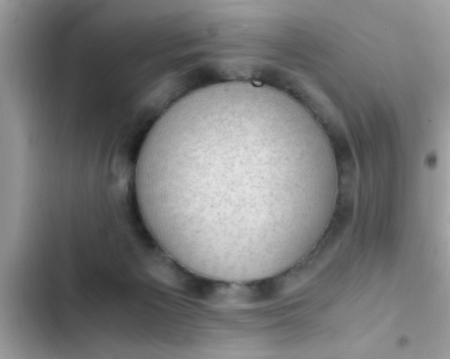 X0000102390125200808151929