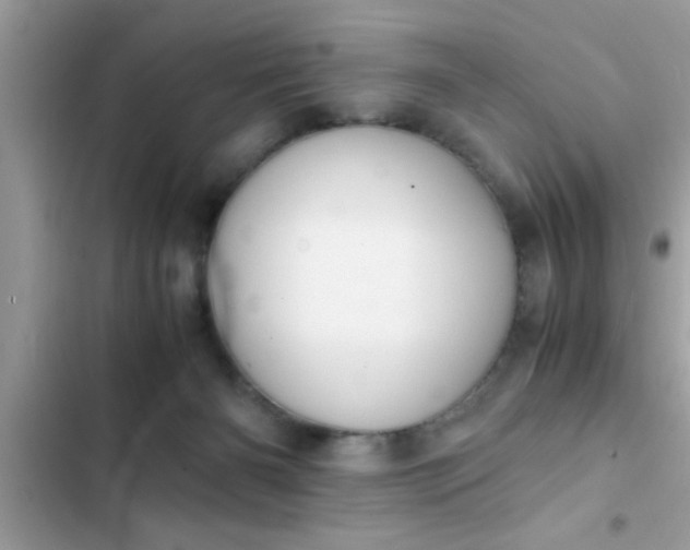 X0000102390126200808151929