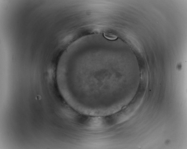 X0000102390127200808151929