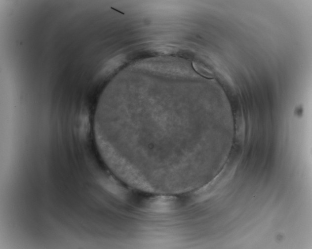 X0000102390128200808151929