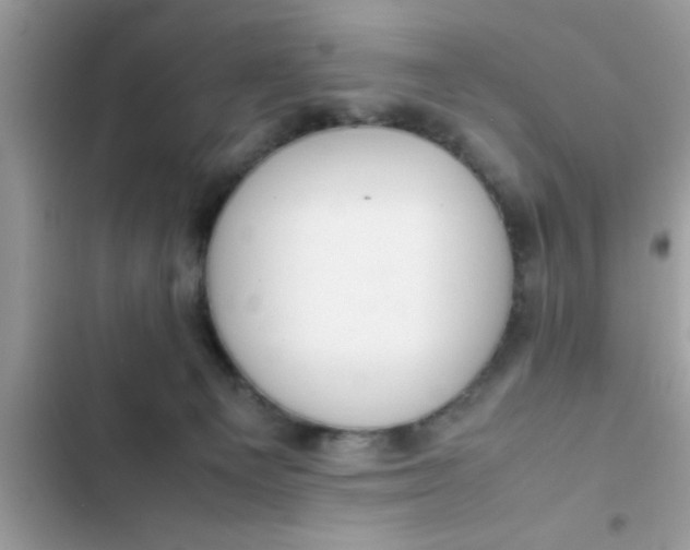 X0000102390129200808151929