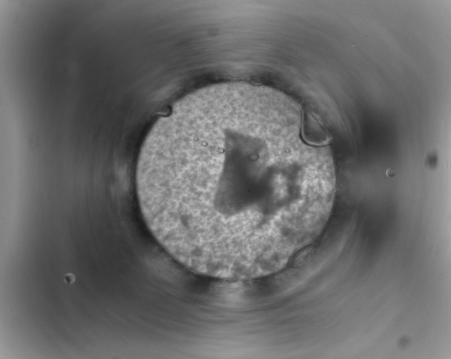 X0000102390131200808151929