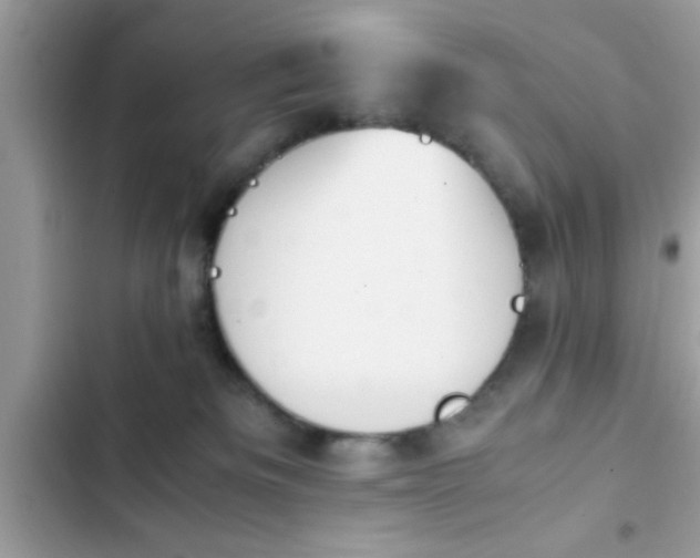 X0000102390133200808151929