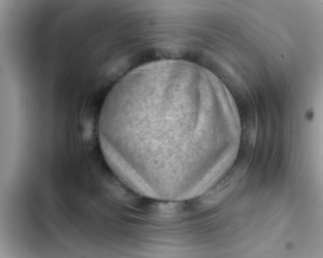 X0000102390134200808151929