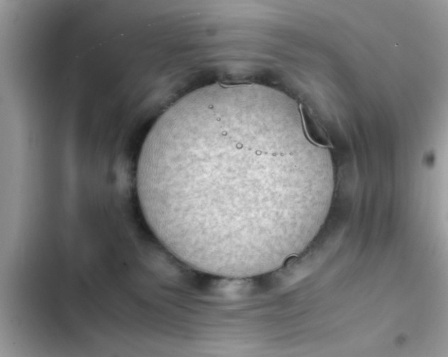 X0000102390135200808151929