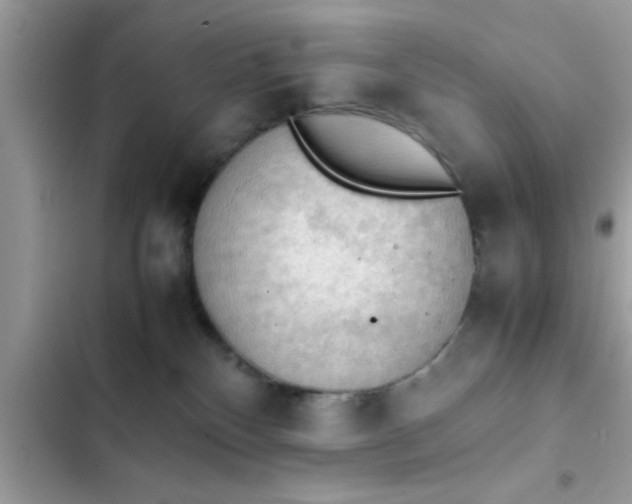 X0000102390136200808151929