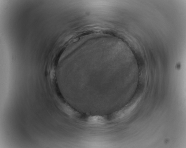 X0000102390137200808151929