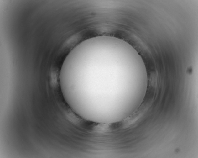 X0000102390138200808151929