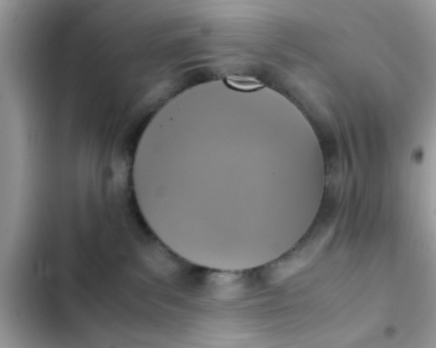 X0000102390139200808151929