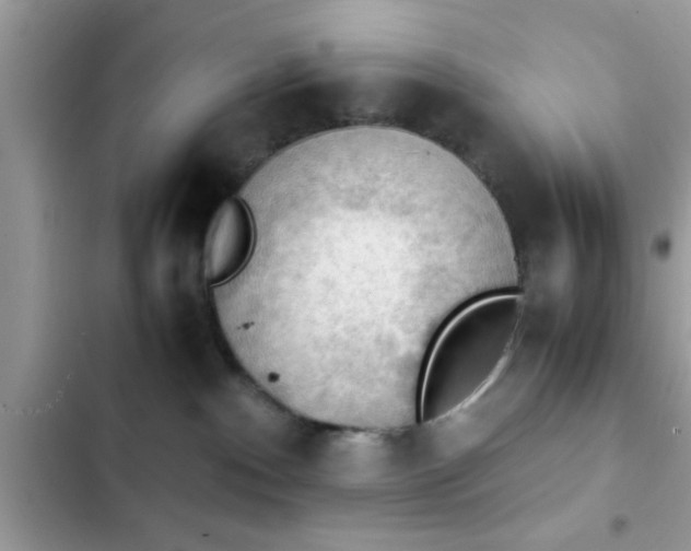 X0000102390140200808151929