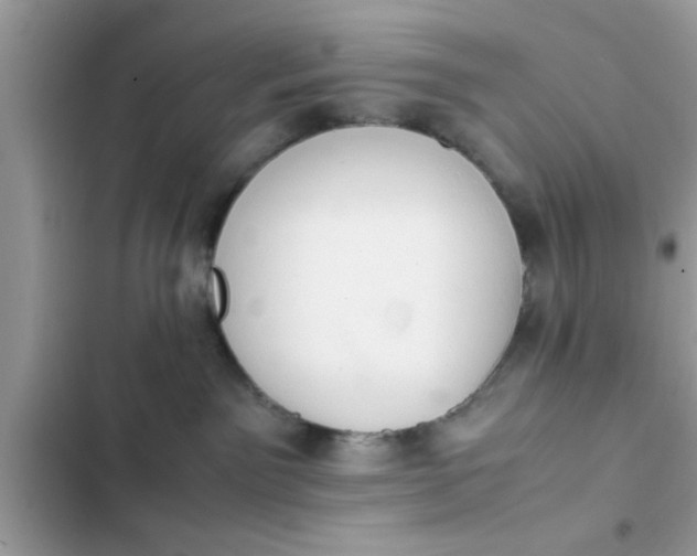 X0000102390141200808151929