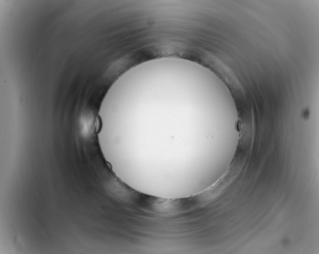 X0000102390142200808151929